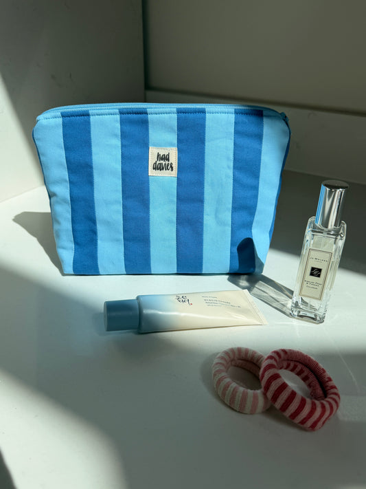 Light Blue & Bright Blue Large Pouch